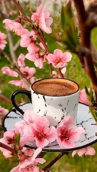 May your day be radiant ... full of light and hope! Excellent day to all Good Morning! صباح الخير... Buongiorno... Bonjour... Günaydın. always with ℒℴѵℯ ❤️