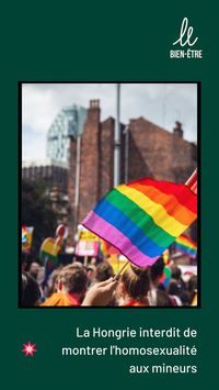 Mardi 15 juin, un texte en ce sens a été approuvé par une majorité de députés hongrois, tandis que le gouvernement de Viktor Orban ne cesse de multiplier les restrictions visant les LGBT.
