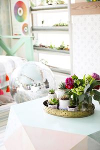 easy colorful succulent containers