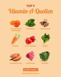 Das sind die besten Vitamin A-Quellen. Die wichtigsten Vitaminquellen im Überblick findet ihr hier: eatsmarter.de/vitamine #vegetarier #vegetarisch #vitamine #vitaminc #infografik #gesund #eatsmarter #protein #lecker #saisonal #regional #abnehmen #abnehmen #gesundernähren #diät