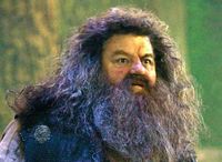 From Philosopher's Stone to Deathly Hallows … Harry Potter stars through the years | Film | The Guardian