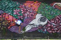 The Best Murals in Oklahoma City and Where to Find Them