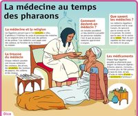 Fiche exposés : La médecine au temps des pharaons