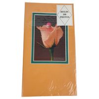 Vintage New Anne Geddes Photo Album No 22 100 Photos Orange & Baby in Rose Seale | eBay