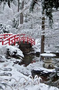 Pont rouge japonais hiver neige