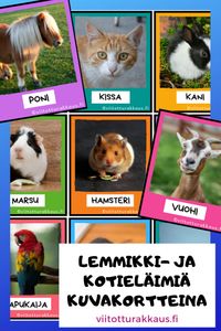 Kuvakortteja lemmikeistä ja kotieläimistä - Viitottu Rakkaus