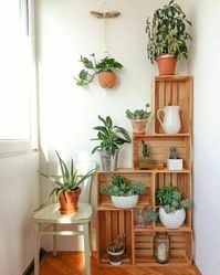 30. Decore sua casa com lindas plantas pequenas e caixas de madeira – Via: Reciclar e Decorar #plantaspequenas #plantaspequenasdecoração #plantaspequenasparaquarto