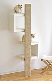 Ein günstiger Designer Kratzbaum! Kratzmöbel mit schönem Design A cheap designer cat tree! Scratching furniture with a beautiful design Choosing a Cat Tree, Playground or Kitty Condo… Buying cat furniture can be a confusing and sometimes challenging experience. Nothing is more frustrating than putting up a beautiful cat tree just to get your cats to ...