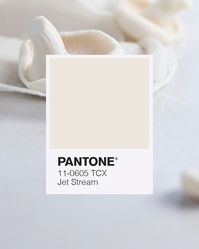 Ogni stagione #Pantone elabora i #colori dell'autunno inverno 2020/21, attraverso il Pantone Fashion Color Trend Report, aprendo lo scenario sui principali colori e tonalità che verranno indossate l’anno successivo. Ecco una guida alle principali tendenze cromatiche della stagione. #colorpalette #brandstyling #branding
