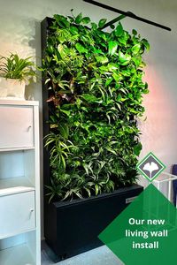 A perfect additon for offices, small businesses, and homes. #mobilegreenwall #mobilelivingwall #greenwall #homedecor #livingwall #indoorgarden #greendesign #officespace #wall #greendesign