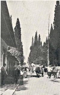 TEPECİK. Güney Mahallesi