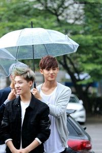 Chan & Mingyu | aah they be looking so good - seventeen