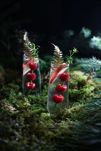 Distilling The Essence Of The Forest: Ent Draught — The Wondersmith