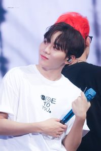 190830 Ode To You Seoul #seungkwan #boo #세븐틴 #seventeen