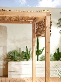 La tonnelle naturelle - TRAITS D'CO Magazine