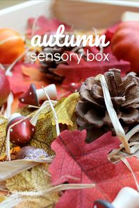 How to Set Up a Simple Autumn Sensory Box | Little Worlds Big Adventures #autumn #fall #sensoryplay #invitationtoplay #toddler #preschool
