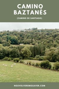 Guía para realizar el Camino de Santiago Baztanés o del Baztán (en 5 o 6 días) desde Bayona hasta Pamplona: itinerario, alojamientos, recorrido, km, etc 🇪🇸 #caminobaztanes #caminodelbaztan #caminodesantiago #theway #elcamino #españa #navarra