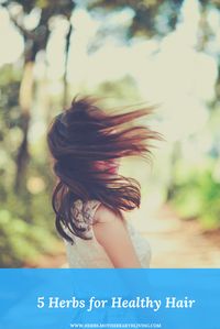 5 Herbs for Healthy Hair | Supplement your hair care with these nutrient-rich herbs.