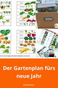 Der Gartenplan fürs neue Jahr: Balkongarten, Garten pflegen, Gemüse pflanzen, wann was pflanzen? | eatsmarter.de #balkongarten #gemüsepflanzen #gemüsegarten #garten