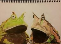 Dylan on Instagram: “Another frog for a side by side comparison. I think the second frog (on the right) looks a little better. :) Not sure if I should do a…”