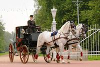 Carriage rides @ Catherine's Palace