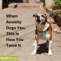 When Anxiety Dogs You, This Is How You Tame It #anxiety #mentalhealth