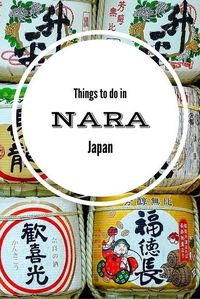 Nara is a beautiful city in Japan where tame deer roam the streets. Click to read all about what to do in Nara