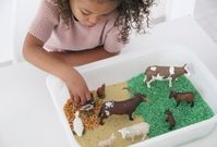 Schleich – Idée de cadeau Noël + bac sensoriel de la ferme