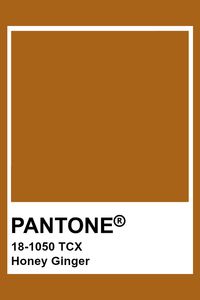 PANTONE 18-1050 TCX Honey Ginger #pantone #color
