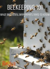 Learn what all beginning beekeepers need to know before they get bees. How to set up the apiary, what beekeeping supplies are needed, and other beekeeping questions are answered in this article | Rootsy.org