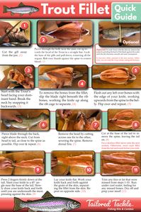 Trout Fillet Tips Infographic - Quick Guide to Fillet Trout to help you learn how to fillet trout and get them ready for the frying pan!