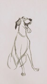 Deja View: Pongo