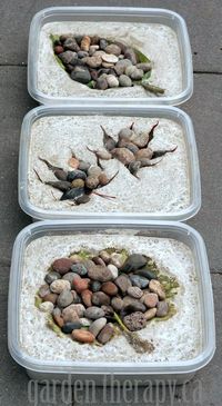 How to Make Leaf Imprint Stepping Stones Made from Concrete (via Garden Therapy)