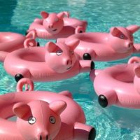 Bouée enfant Piggy - La Boutique Desjoyaux