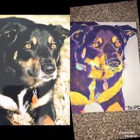 I do custom colorful animal paintings, contact me on my website for more info 😌