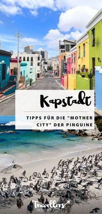 Kapstadt ist ein sanfter Einstieg für alle, die zum ersten Mal den afrikanischen Kontinent erleben möchten. Zusätzlich zur traditionellen südafrikanischen Kultur finden Besucher:innen hier auch internationales Flair und können ganz nebenbei noch einen traumhaften Strandurlaub mit süßen Pinguin-Kolonien erleben. Die „Mother City“ ist die Stadt, aus der Reiseträume gemacht sind-denn hier trifft atemberaubende Natur, wie der Table Mountain und das Kap der guten Hoffnung, auf buntes Großstadtleben.