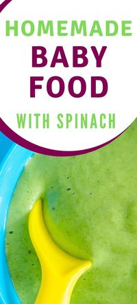 Homemade baby food recipe with spinach. This easy baby food puree is a great way to get babies and toddlers to eat more veggies. YES, baby food is a great nutritious option for toddlers too! This homemade baby food can be stored in pouches and containers. I also give you options for making high calorie baby food. Making baby food at home is healthier, cheaper, and can be a great way to introduce a variety of flavors to your baby. Save this baby food recipe and give it a try!