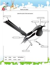 1st grade science worksheets for kids pdf science worksheets 1st grade science science activities for kids