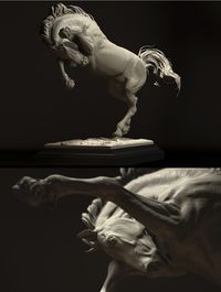 Horse study by mikkamakka 1000px Artist Bogi Piroth aka Mikkamakka