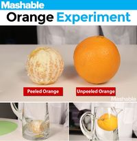 Learn 5 scientific principles using common household items.