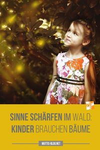 So gelingt der Ausgleich zu Schule, Handy, Tablet & Co.! Spielerisch die Sinne wieder schärfen und das im Wald!