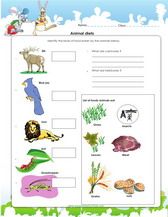 1st grade science worksheets for kids pdf science worksheets free science worksheets fun science worksheets