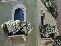 beautiful windows Thought: fake flowers. No one will ever know. Change each…