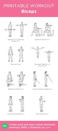Aquaman Exercise | Best Back Exercises . Bent Barbell Rows: Bend over and grab a barbell with your hands at a shoulder width. Keep your knees slightly bended. Raise the barbell putting your arms straight. Keep the upper body at an angle of 45 degrees and arch your back. Lift the barbell into your stomach by moving just the arms and holding your body steady. Let it go down slowly and repeat the entire movement.. #muscles #musclesburnfat