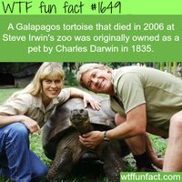 WTF Facts : funny, interesting & weird facts