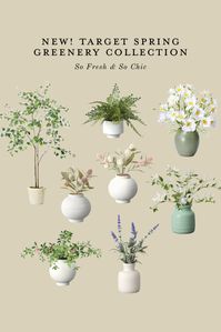 New! Faux plants at Target! - Faux tree - Studio McGee Threshold - faux potted plants - faux maple tree - faux pottery fern - faux flower arrangements in vase Follow my shop @sofreshandsochic on the @shop.LTK app to shop this post and get my exclusive app-only content! #liketkit #LTKhome #LTKunder50 @shop.ltk https://liketk.it/40l7U