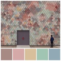 Pentadic colour schemes feature five individual hues. To enhance visual cohesion among a group of disparate hues, aim for a degree of similarity in tonal value and saturation level. Pentadic colour palette by Zena O’Connor, PhD, featuring an image of Sugarhouse Studios Stratford, conceived and built by Assemble. July 2019.