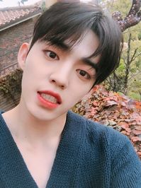 181222 Seventeen Japan Line Update #세븐틴 #seventeen #seungcheol #scoups #cheol #coups