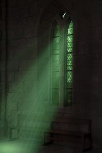 The light from the dark lake