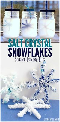 Salt Crystal Snowflakes - this simple STEM activity transforms pipe cleaners into beautiful crystal snowflakes. Kids will love this easy science project!